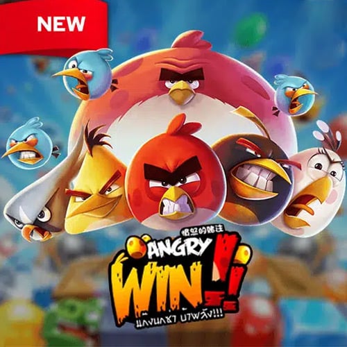 Angry Bird Win
